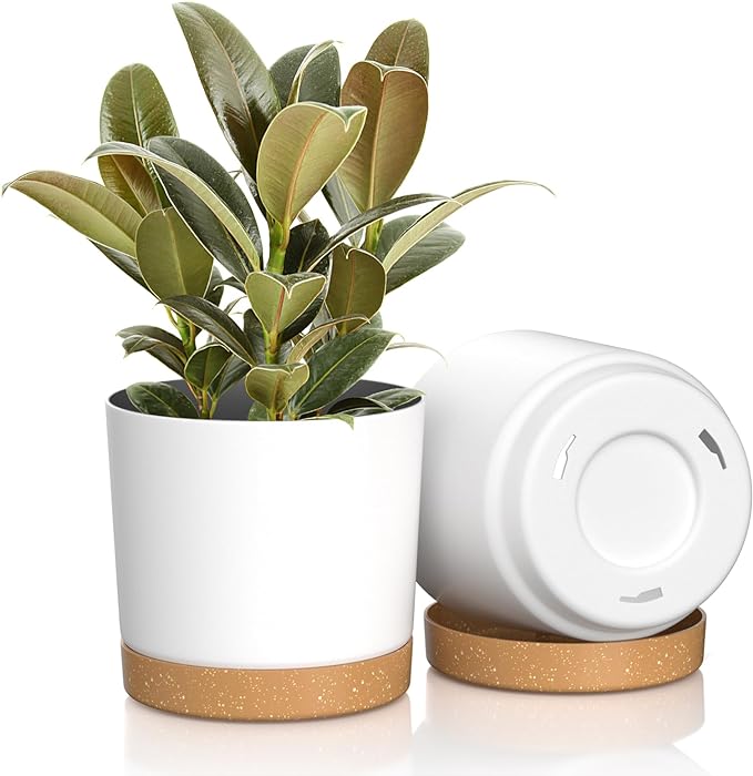 6.5 inch Plant Pots, Plastic Planter with Drainage Hole and Saucer, A Set of 2 Flower Pots for Indoor, Outdoor, House Plants, Succulents, Flowers (White)