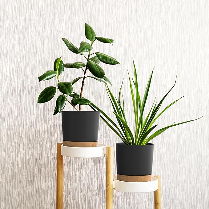 6.5inch Plant Pots, Plastic Planter with Drainage Hole and Saucer, A Set of 2 Flower Pots for Indoor, Outdoor, House Plants, Succulents, Flowers