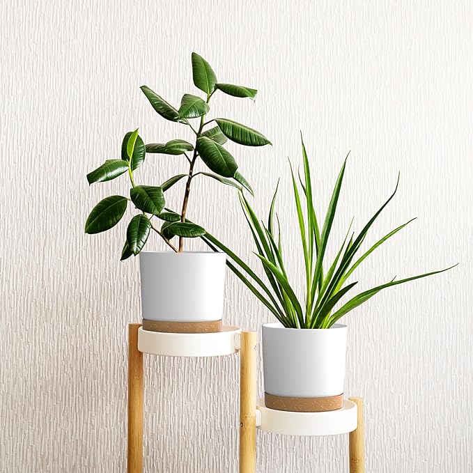 6.5 inch Plant Pots, Plastic Planter with Drainage Hole and Saucer, A Set of 2 Flower Pots for Indoor, Outdoor, House Plants, Succulents, Flowers (White)