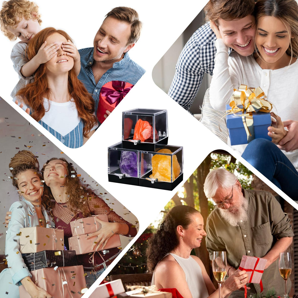 12pcs Mineral Standard Display Box Display Shelves Packing Collectible Pad Organizers Single Cupcake Boxes Asian Mineral Specimen Storage Bulb Containers with Lids Stash Plastic acrylic