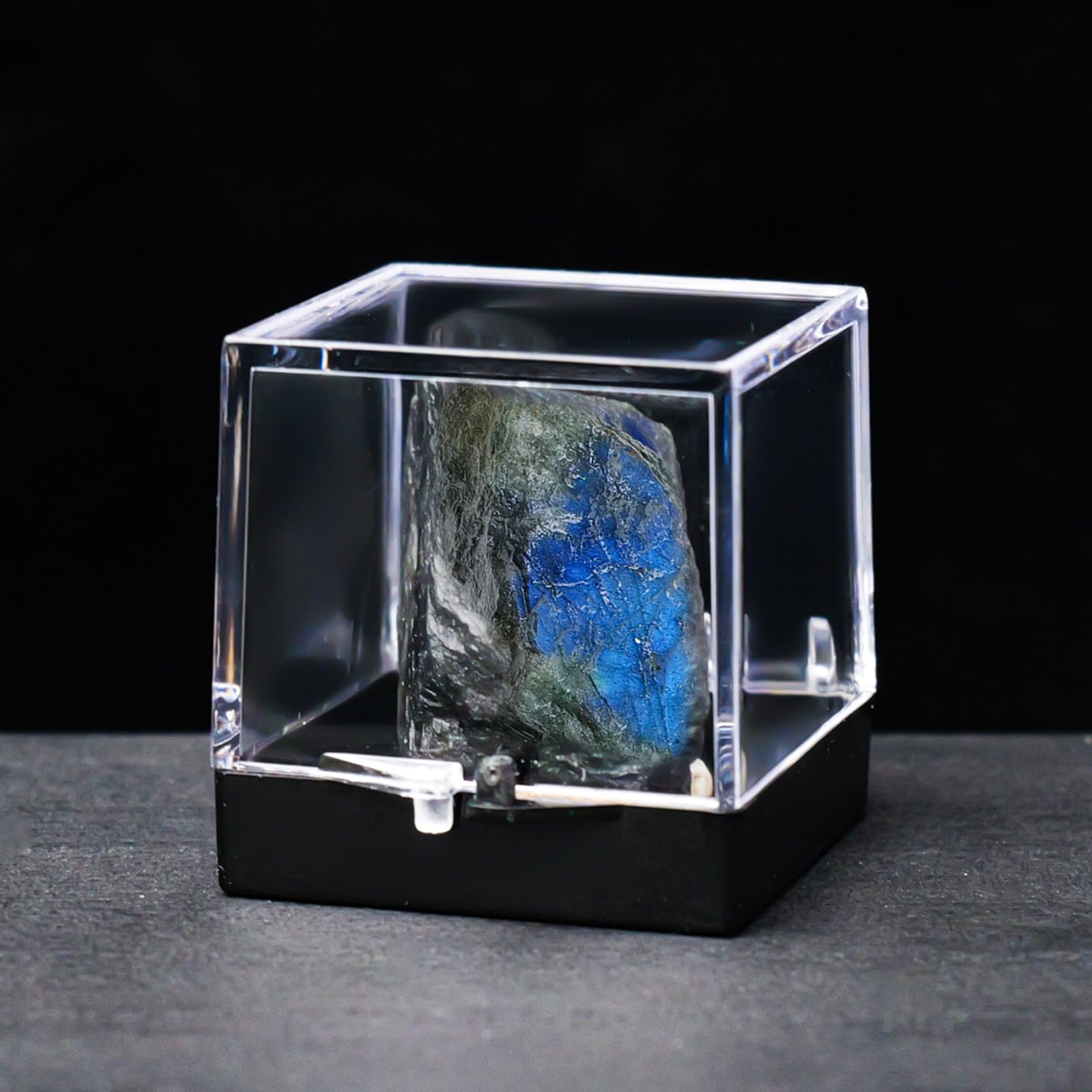 12pcs Mineral Standard Display Box Display Shelves Packing Collectible Pad Organizers Single Cupcake Boxes Asian Mineral Specimen Storage Bulb Containers with Lids Stash Plastic acrylic