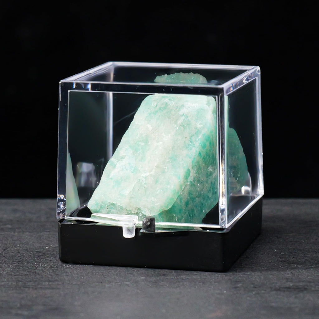 12pcs Mineral Standard Display Box Display Shelves Packing Collectible Pad Organizers Single Cupcake Boxes Asian Mineral Specimen Storage Bulb Containers with Lids Stash Plastic acrylic