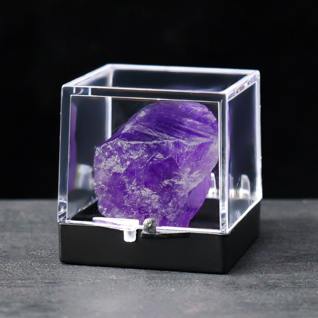 12pcs Mineral Standard Display Box Display Shelves Packing Collectible Pad Organizers Single Cupcake Boxes Asian Mineral Specimen Storage Bulb Containers with Lids Stash Plastic acrylic