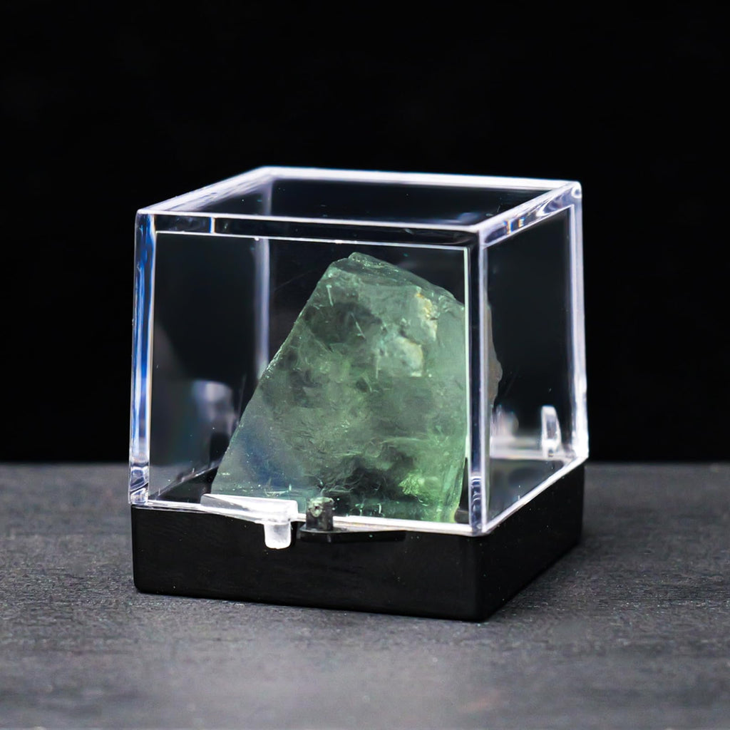 12pcs Mineral Standard Display Box Display Shelves Packing Collectible Pad Organizers Single Cupcake Boxes Asian Mineral Specimen Storage Bulb Containers with Lids Stash Plastic acrylic