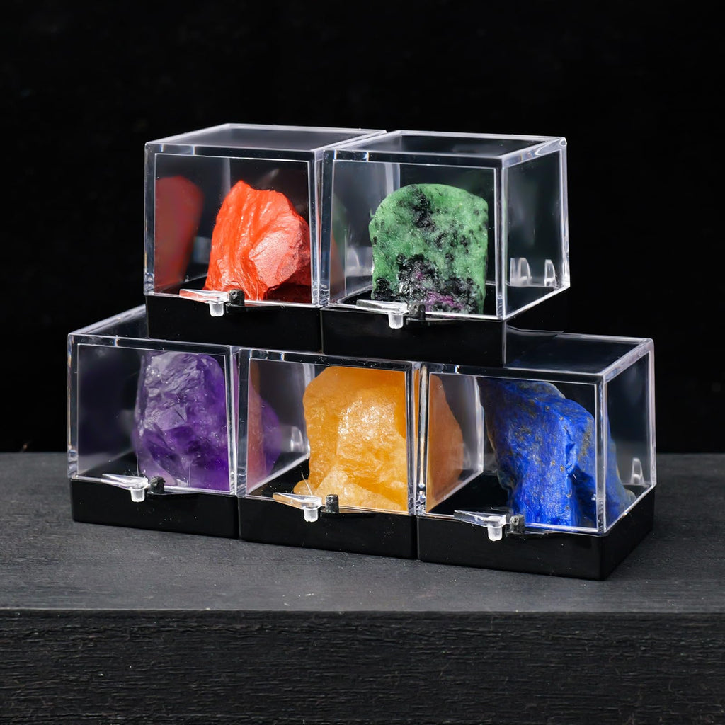12pcs Mineral Standard Display Box Display Shelves Packing Collectible Pad Organizers Single Cupcake Boxes Asian Mineral Specimen Storage Bulb Containers with Lids Stash Plastic acrylic