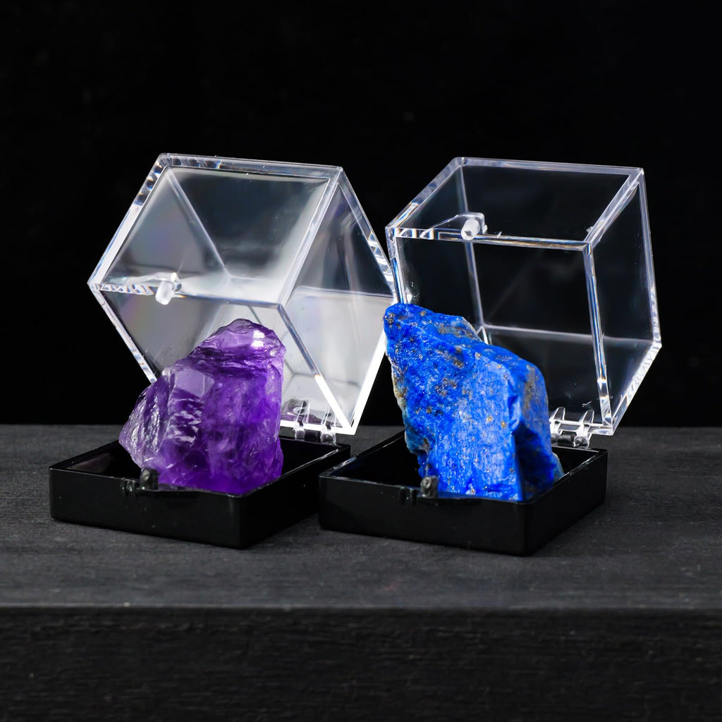 12pcs Mineral Standard Display Box Display Shelves Packing Collectible Pad Organizers Single Cupcake Boxes Asian Mineral Specimen Storage Bulb Containers with Lids Stash Plastic acrylic